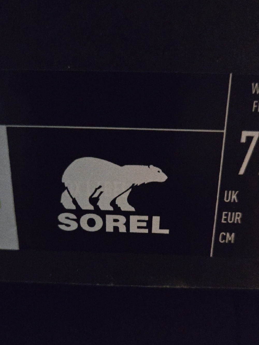Sorel Womens Sage with Green Accent Trail Sneakers - Picture 2 of 12
